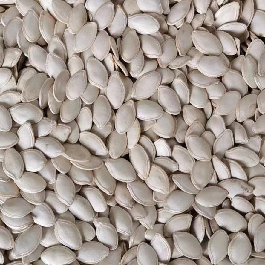 Pumpkin Seeds