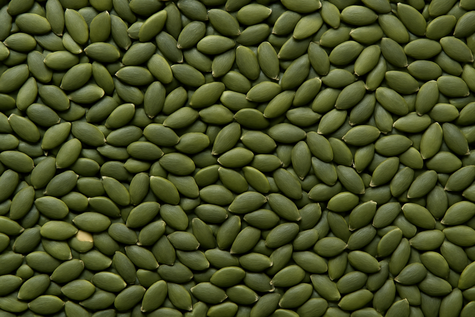 Sunflower Seeds
